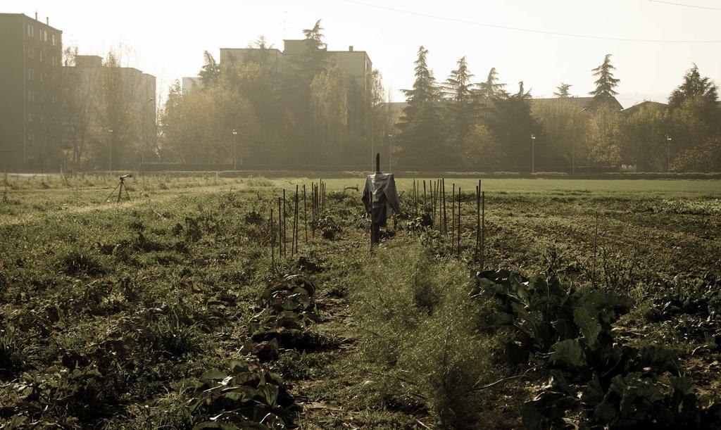 Podere San Giuliano Villa San Lazzaro di Savena Eksteriør billede
